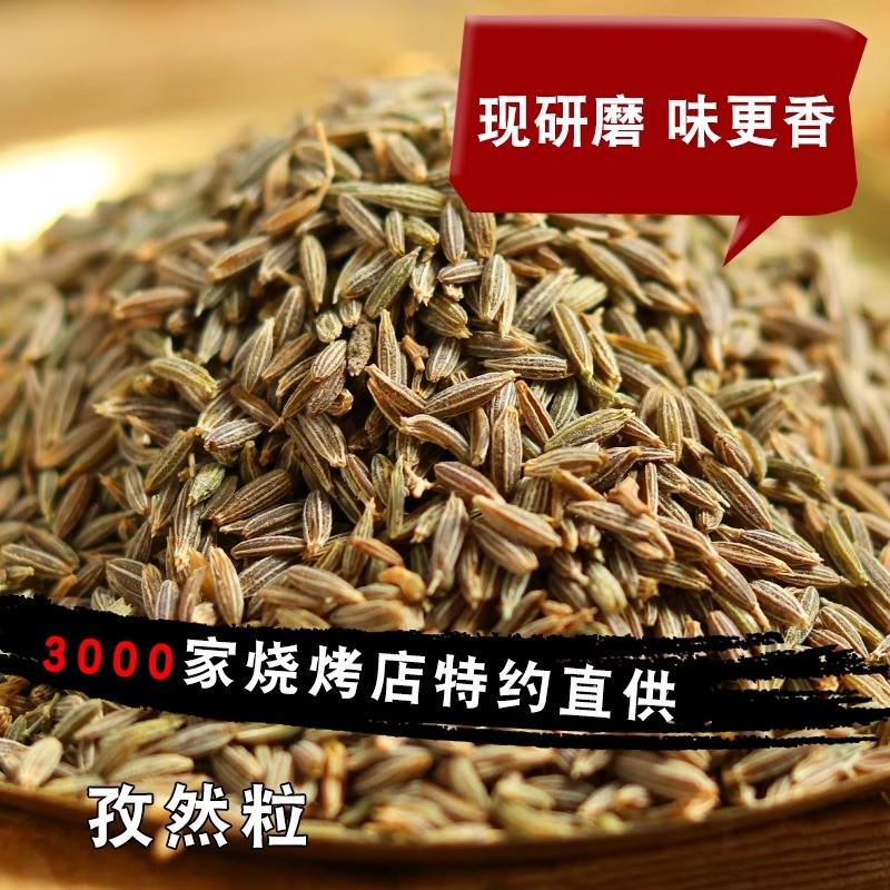 新疆特产纯孜然粒500g烤肉烧烤调料撒料腌料香料包批粉发大全商用 - 图1