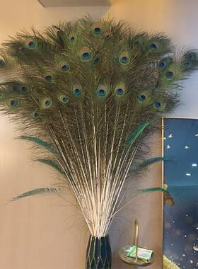 极速天然真孔雀羽毛m家居摆件大眼睛孔雀毛客厅花瓶装饰品孔雀翎