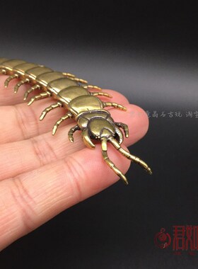 新品实心黄铜蜈蚣摆件 可u活动五毒小蜈蚣把件铜茶宠铜玩昆虫爬虫
