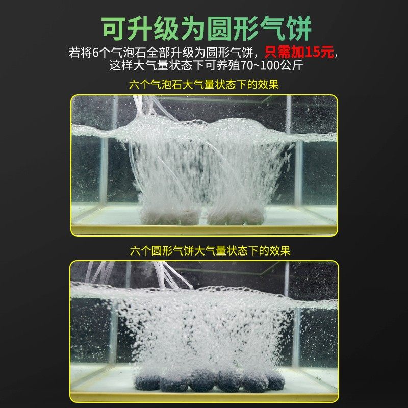 速发小型氧气泵接点烟电插头增氧泵12v器瓶直流增氧机车载充氧泵,淘宝优惠券,粉丝福利购,淘宝优惠卷