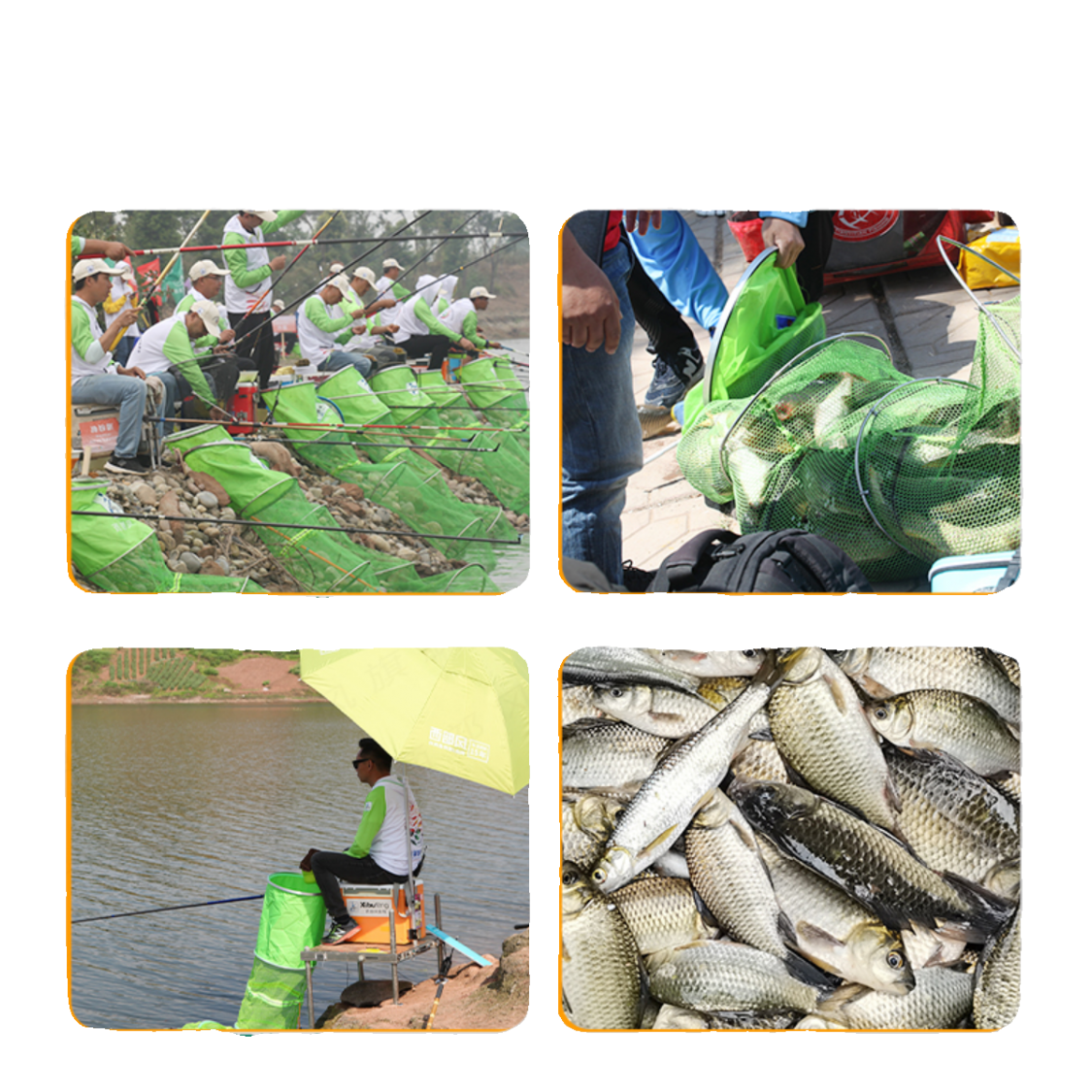 西部风千里香精小药猾鱼克星鱼饵料添加剂野钓鲫鱼麝香酒米打窝料,淘宝优惠券,粉丝福利购,淘宝优惠卷