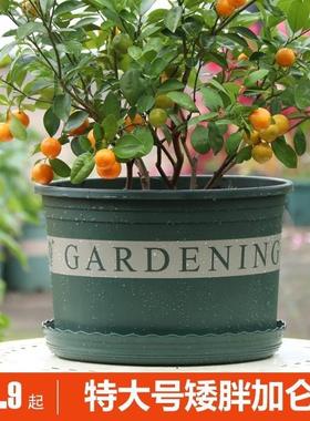 极速特大花盆大口径黑加仑盆栽花盆加厚J黑色矮胖加仑花盆塑料绿