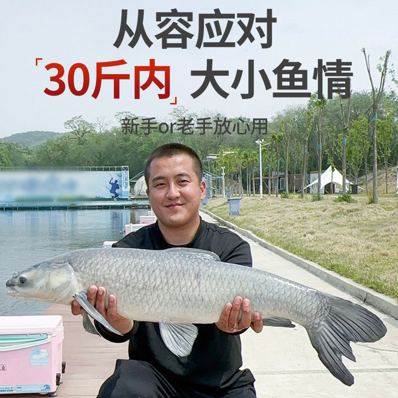 爱易达鱼竿手杆超轻硬碳素28调钓鱼竿轻量综合鲫鱼鲤鱼台钓竿野钓,淘宝优惠券,粉丝福利购,淘宝优惠卷