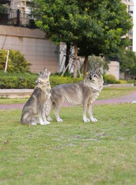 户外狼狗饰品模拟玻璃纤维模型客厅家装花园庭院动物狗雕塑