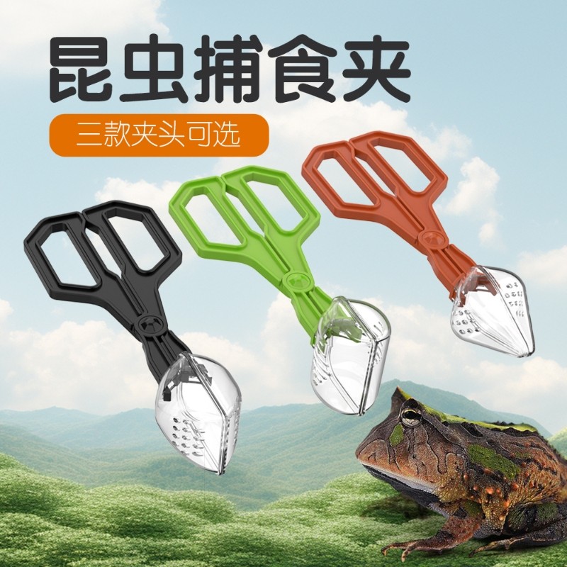 nomoypet诺摩捕虫夹爬虫蜘蛛面包虫杜比亚蟋蟀蟑螂透明夹子工具,淘宝优惠券,粉丝福利购,淘宝优惠卷