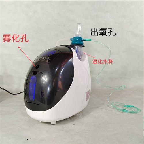 现货速发制氧机老人补氧机可携式氧气机带雾化家用制氧机孕妇增氧 - 图1