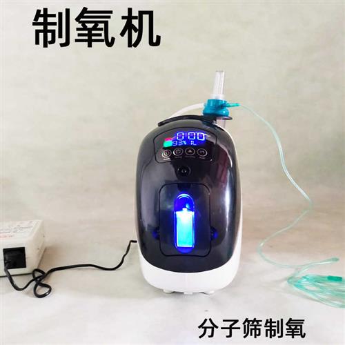 现货速发制氧机老人补氧机可携式氧气机带雾化家用制氧机孕妇增氧 - 图0