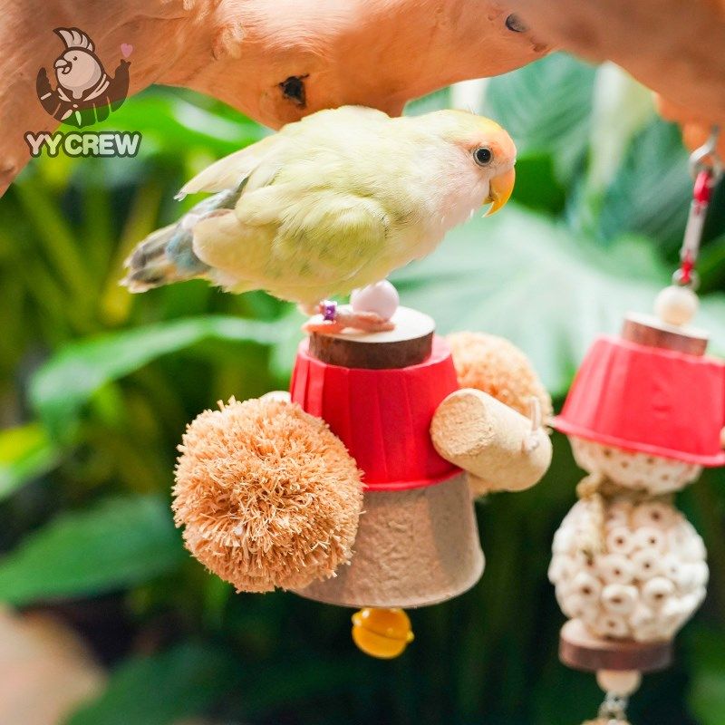 速发鹦鹦队 鹦鹉串咬挂件笼具攀爬秋千草球藤球挂啃牡丹玄凤鸟玩,淘宝优惠券,粉丝福利购,淘宝优惠卷