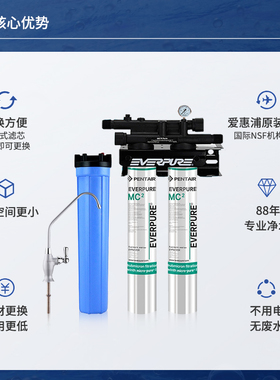 新品爱惠浦净f水器商用MC2双联净水器大流量奶茶店咖啡店专用直饮