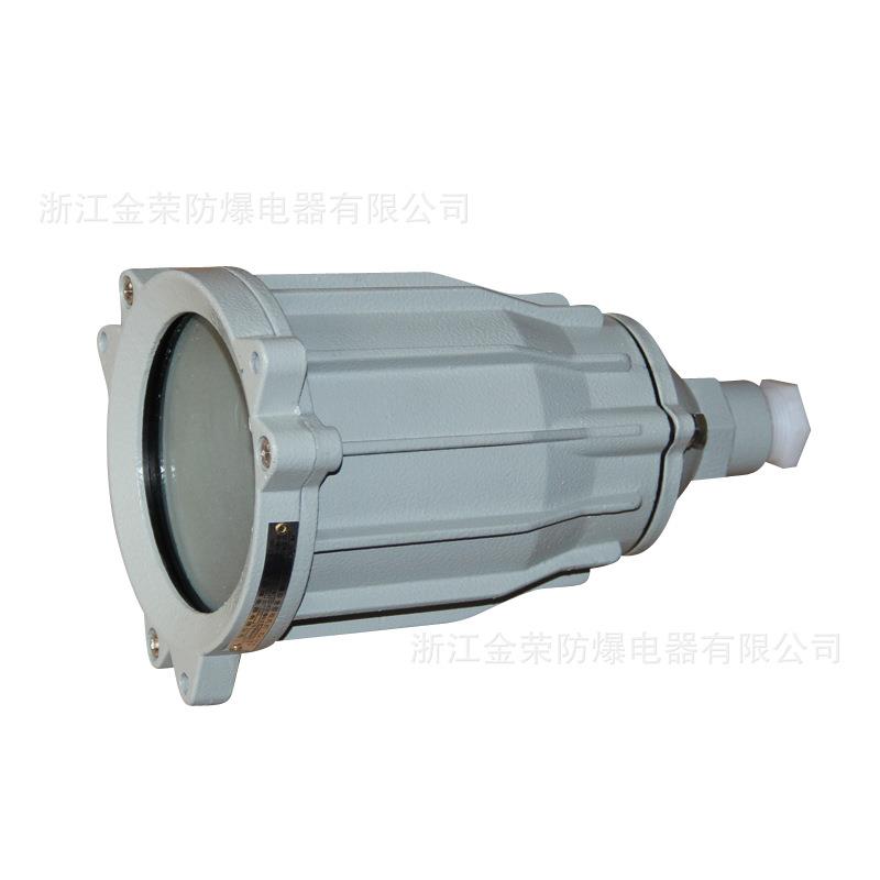 金荣BAK85防爆LED视孔灯BAK51反应釜视镜灯BSD96延时24V36V内视灯 - 图0