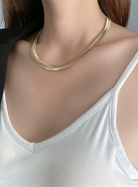 新品欧美ins个性夸张宽版蛇骨链项链女小众设计感锁骨.链钛钢颈链