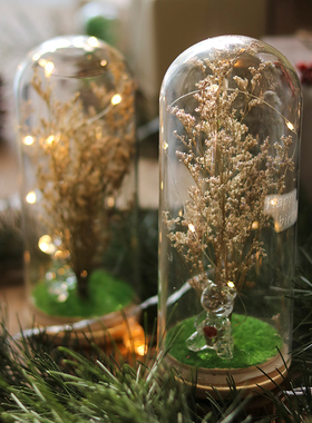 新品彩灯玻璃瓶灯串房间创意发光小夜灯J生日派对桌面装饰场景布