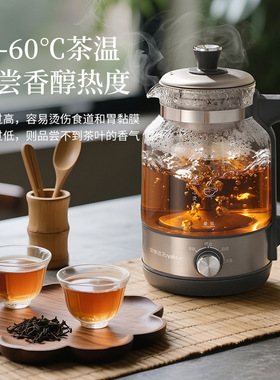 荣事达纯钛煮茶器茶水分离养生壶泡茶壶家用蒸茶喷淋蒸汽煮茶新款