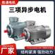 Variable multi-speed motor 160L-6 variable frequency speed control braking motor Three-phase asynchronous motor Motor