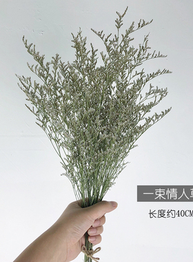 新品云南鲜花干花 勿忘我情人草 组合H花束客厅卧室装饰插花家居