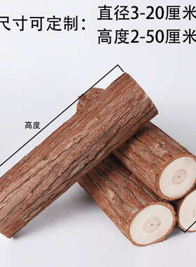 小木桩底座摆件树桩栅栏原木头杉树摄影拍照手工DIY装饰道具展示
