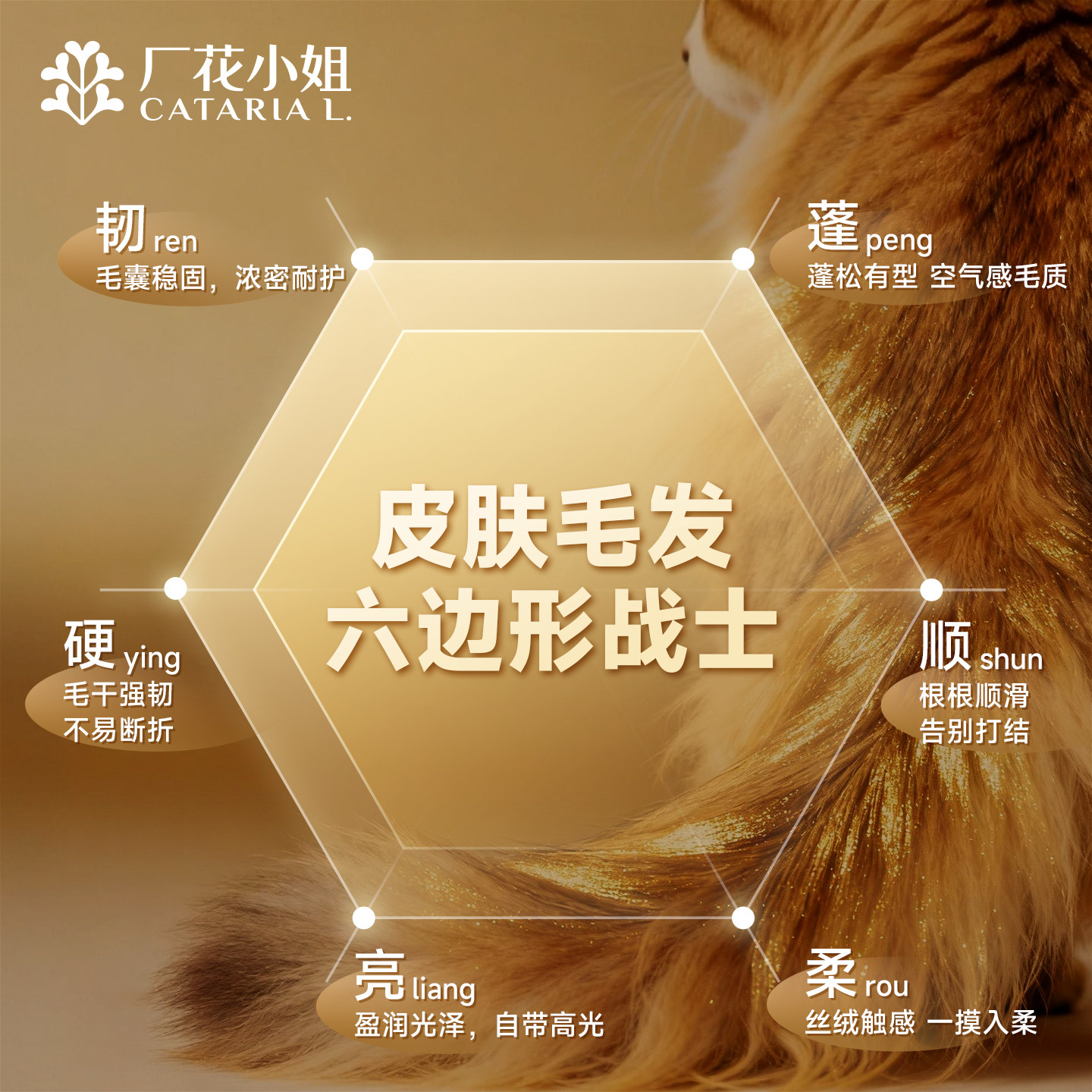 厂花小姐全价烘焙猫粮大厂系列进口鳕鱼鱼油美毛护肤猫粮试吃100g,淘宝优惠券,粉丝福利购,淘宝优惠卷