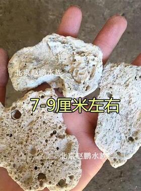 现货速发造景珊瑚石珊瑚骨底沙过滤大块PH滤材净水海水沙