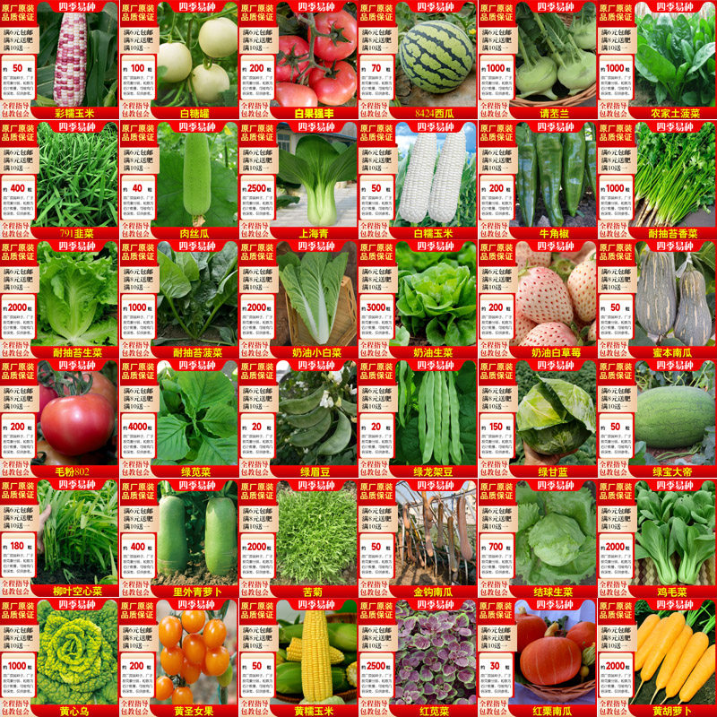 蔬菜种子四季播种盆栽阳台庭院香菜黄瓜萝卜生菜小葱菠菜籽孑大全,淘宝优惠券,粉丝福利购,淘宝优惠卷
