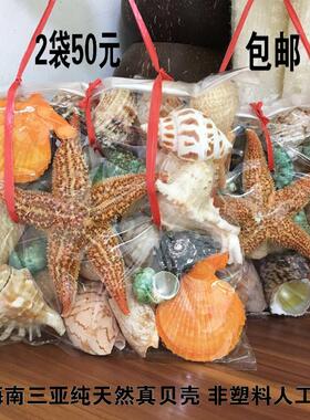 天然大贝壳大海星珊瑚石工艺品装饰品道具鱼缸造景贝壳摆th10