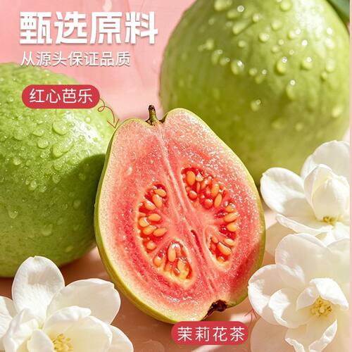 雀蜂粉芭乐茉莉果汁茶0脂低卡清甜解腻红心芭乐果茶聚餐便携果饮. - 图2