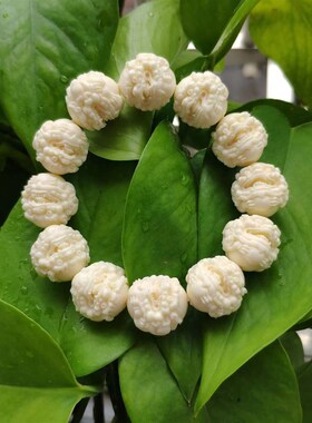 极速文玩象牙果雕刻手串貔貅有求必应H手把件猛犸象牙男女佛珠工