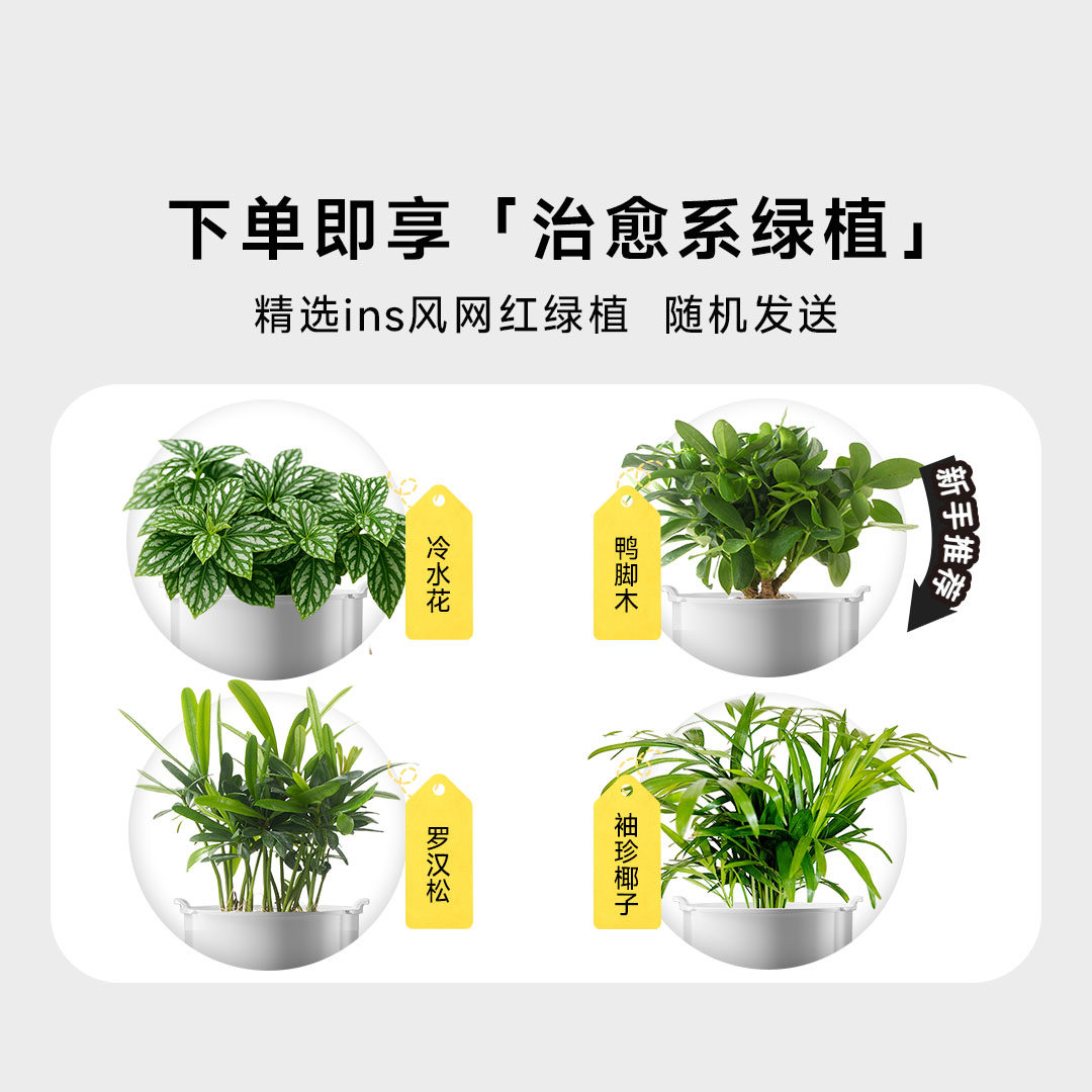 IVY第二代智能植物机器人  智能花盆 桌搭潮玩 科技好物 创意礼品,淘宝优惠券,粉丝福利购,淘宝优惠卷