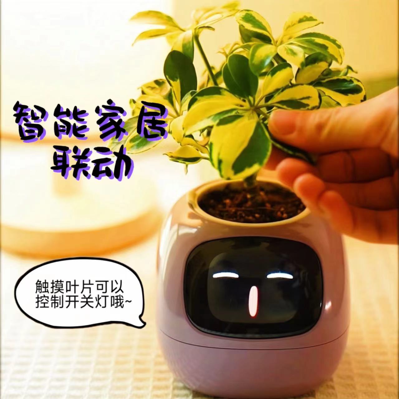 英文版IVY智能植物萌宠花盆   桌搭潮玩 黑科技好物 创意礼品 - 图2