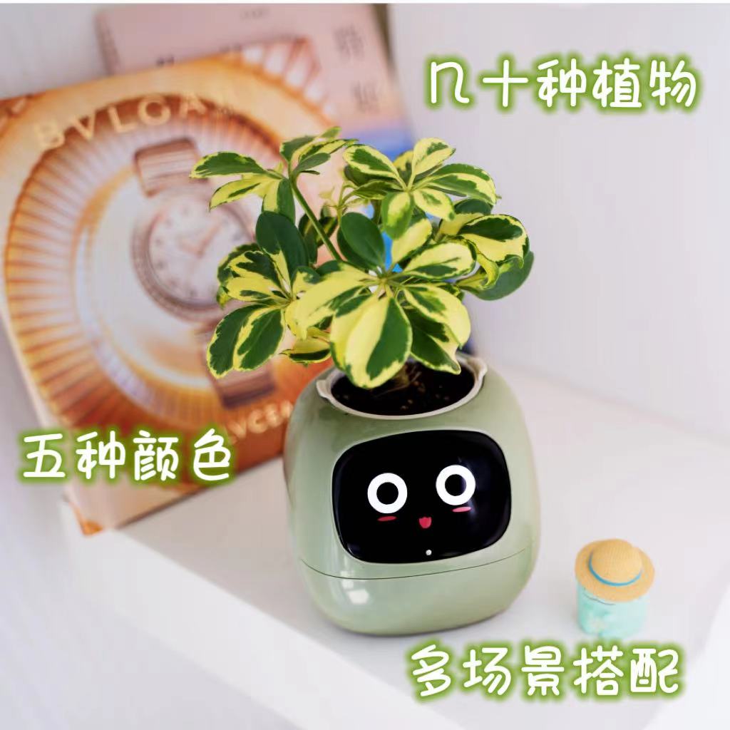 IVY智能植物萌宠机器人  智能花盆 桌搭潮玩 黑科技好物 创意礼品 - 图2