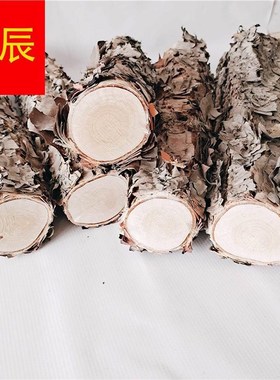 极速铁桦木铁桦树m桦木原木铁桦原木装饰树隔断橱窗隔断湿木料