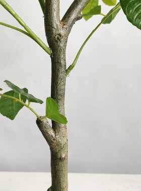 新品仿真绿植室内客厅北欧风家居造景装J饰仿生柠檬树盆栽落地橱