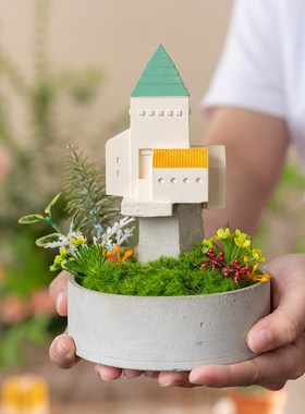新品阿楹 微观造景小屋绿植摆件电视壁龛博古架橱V柜隔断装饰品家