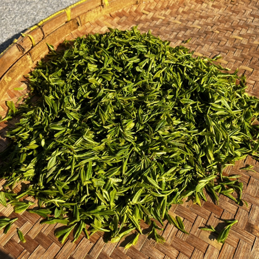 【2026新茶预约】苏州西山明前群体小叶种碧螺春茶叶！,淘宝优惠券,粉丝福利购,淘宝优惠卷