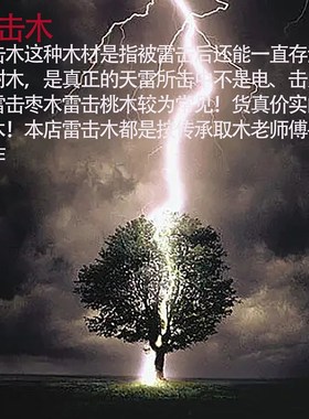 极速龙虎山天然雷击枣木太平无事牌吊坠紫L薇讳金光咒吊牌道家法