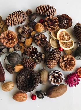 极速松果木片树叶乾燥花乾果组合套装幼儿园装饰小摆Y件复古拍照