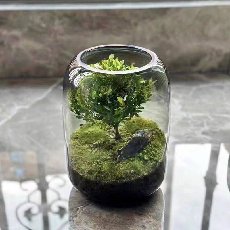 创意圆形玻璃花瓶加厚鱼缸生态瓶微景小型小鱼缸桌面装饰水培摆件,淘宝优惠券,粉丝福利购,淘宝优惠卷