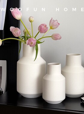 速发花瓶摆件客奢插花白陶高级感装饰轻厅色瓷简约小众中式大