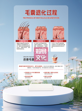 毛囊退化过程亚克力展示牌双面印刷高透UV美发沙龙咨询摆件植发馆