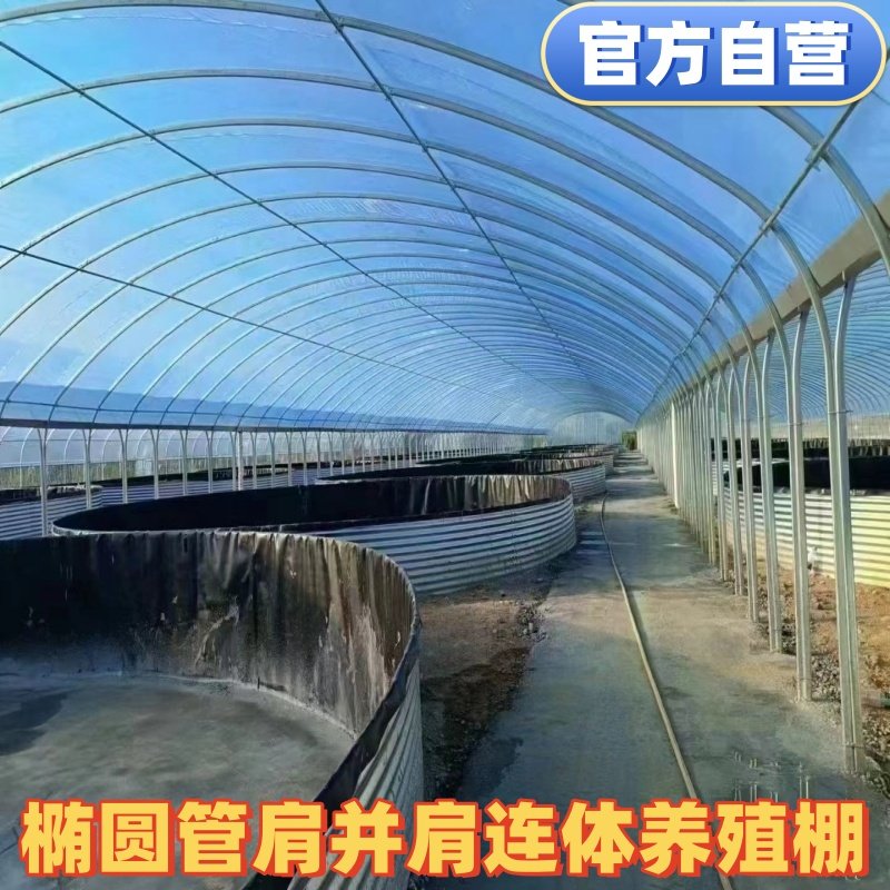 养殖大棚全套大棚骨架温室大棚椭圆管全套蔬菜种植大棚猪棚定制,淘宝优惠券,粉丝福利购,淘宝优惠卷