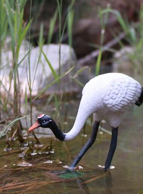 户外动物饰仿真仙摆件丹顶鹤模型白鹤雕塑鹤装品水池庭院花园造景