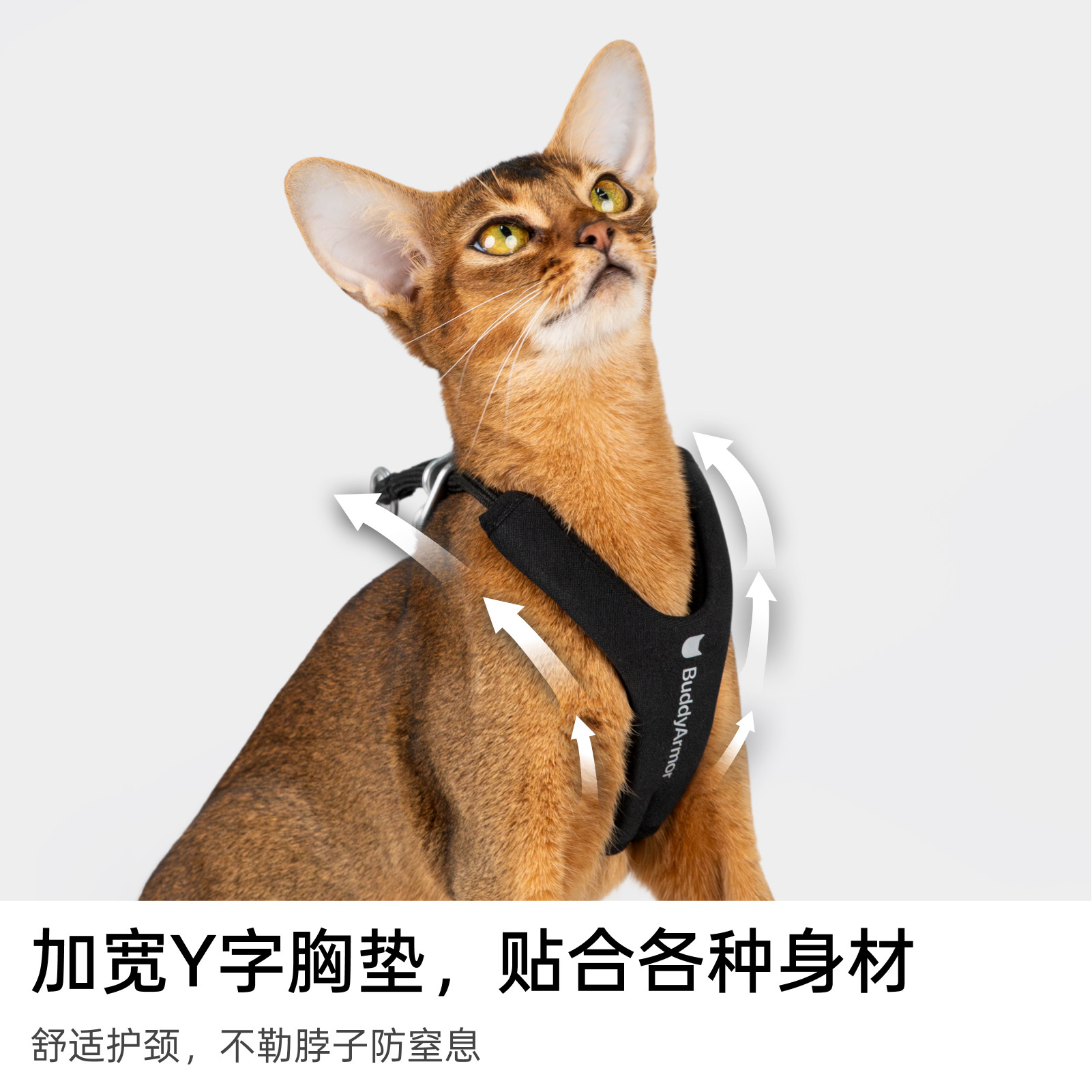 BuddyArmor防挣脱超舒适Y型胸背套装外出遛猫绳手牵腰牵斜挎,淘宝优惠券,粉丝福利购,淘宝优惠卷