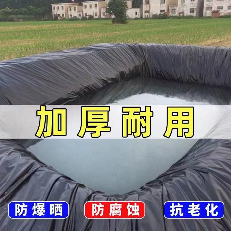 鱼塘防渗膜防渗土工膜加厚防水布蓄水池护坡防漏专用黑色塑料布 - 图1