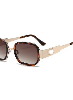 欧洲站2025新款太阳镜金属双圈镜框复古墨镜男士小框太阳镜大牌平