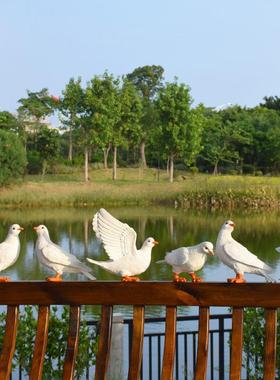 户外园林鸽子摆件仿真动物白鸽景观别墅草坪装饰花园庭院橱窗摆设