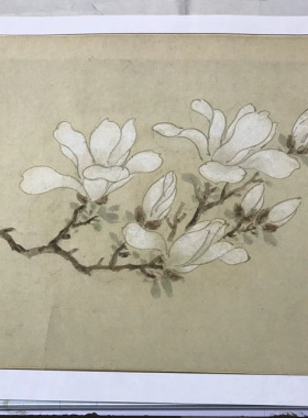 文徵明白玉兰图卷画芯行书跋文
