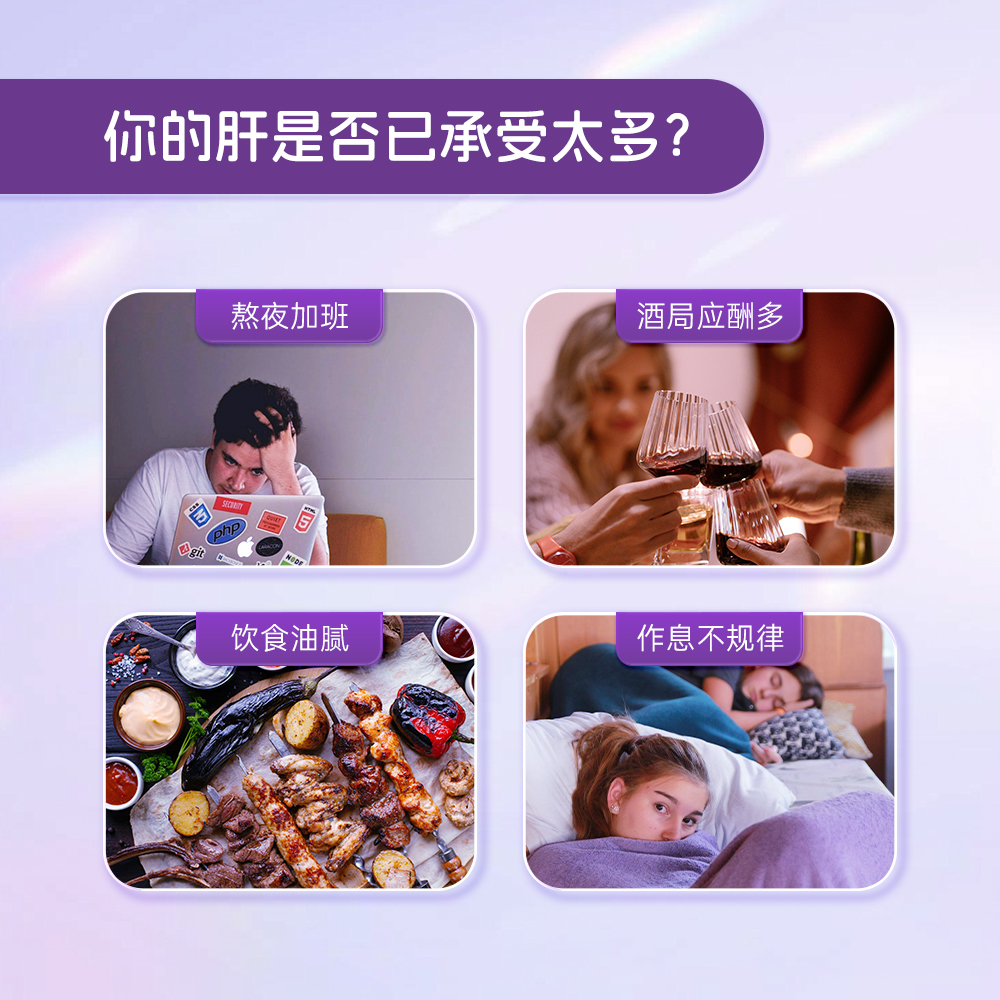 PN进口奶蓟草护肝片男女加班熬夜水飞蓟养净护肝官方旗舰店正品