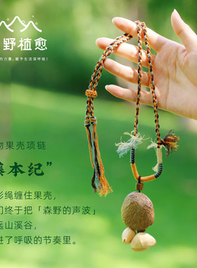 森野植愈果壳项链天然植物果壳摇铃波西米亚风铃小众配饰挂饰项链