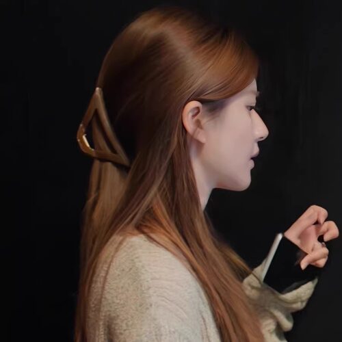 高版本！许我耀眼许妍赵露思同款抓夹美拉德发夹2026年秋冬新款 - 图2