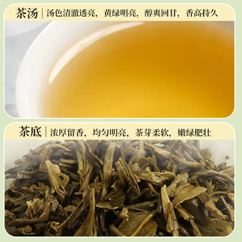 i京华茉莉花茶16号新茶浓香型老北京茶叶花草茶小叶茉莉袋装 - 图1