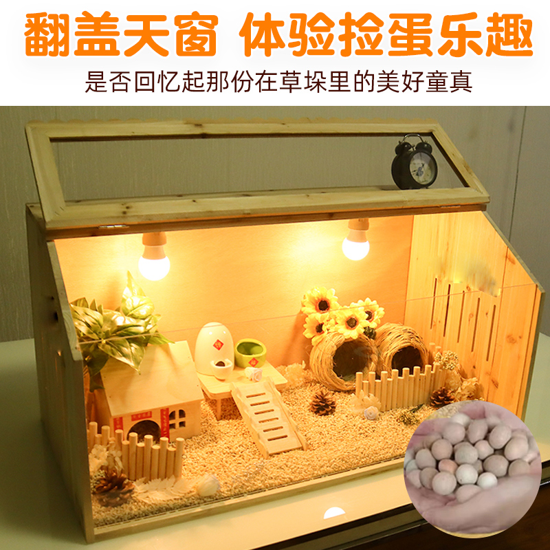 芦丁鸡宠物饲养箱造景专用箱鸡窝卢丁鸡养箱幼鸡的保温箱小鸡笼子 - 图2